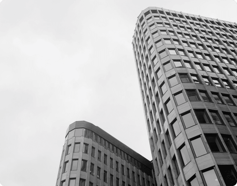 Organizasyon Hizmetleri