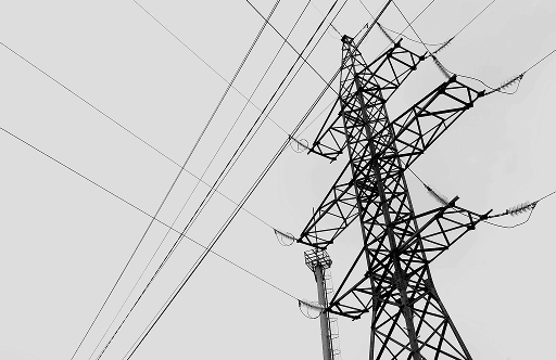 Organizasyon Hizmetleri