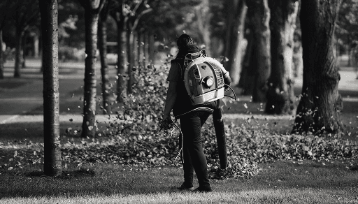 Temizlik & Çevre Düzenleme